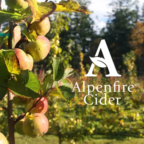 Alpenfire Cider - Variety Pack of Traditional Dry Ciders