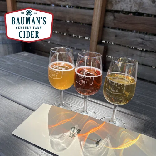 Bauman's Cider - Variety Pack of Modern Ciders