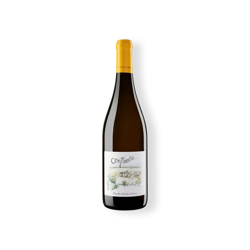 - Confluentia - Muscadet Sèvre et Maine Sur Lie AOP 2023